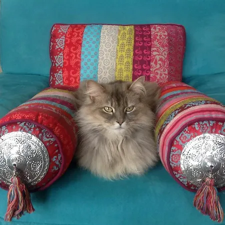 Domaine De Granval D'hotes Εξοχικό σπίτι