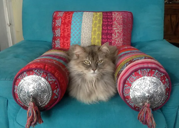 Domaine De Granval D'hotes Lantställe